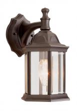 Trans Globe 4349 RT - 1 LIGHT OUTDOOR LANTERN